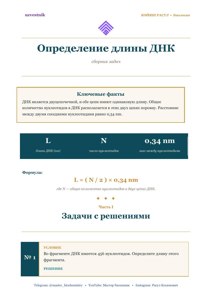 Решение задач на определение длины ДНК