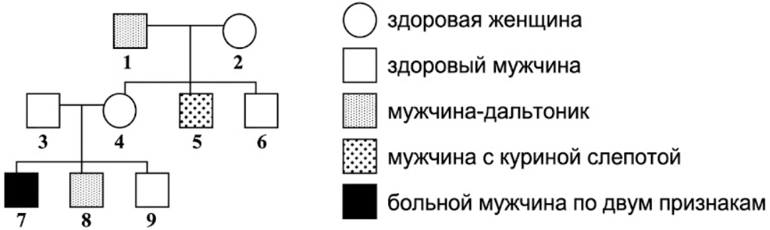 Методом генеалогического анализа изучены два наследственных признака, сцепленных