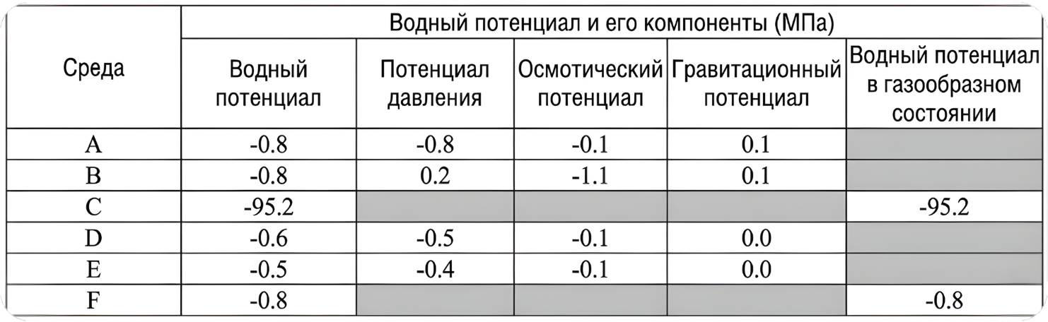 В таблице приведены значения водного потенциала (в МПа) на различных этапах движ