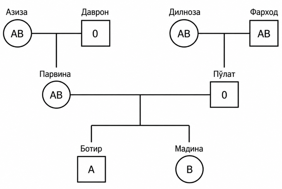 У человека группа крови по системе ABO определяется единственным не сцепленным с