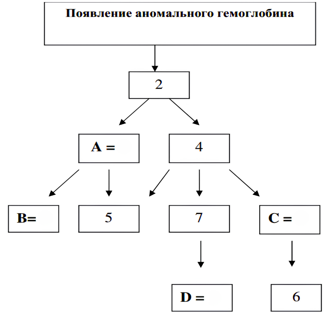 Мутации в гене, кодирующем гемоглобин (HbS), приводят к различным заболеваниям, 