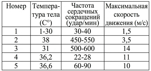Выберите правильный ответ! В каком варианте данные каждой строки таблицы последо